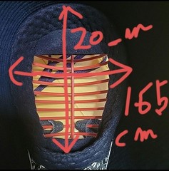 Matsukan Kendo Men (face mask)