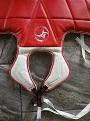 Youth Taekwondo Sparring Gear