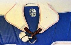 Pro Force Chest Pad Protector Taekwondo Red/Blue Reversible Sz # 3 **Lot Of 2**