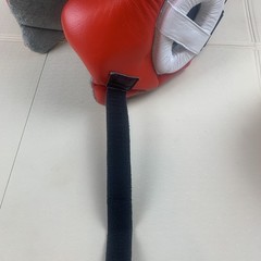RevGear MMA Boxing Martial Arts Karate Adult Head Gear Padding Adjustable EUC