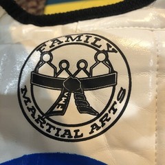 Rhingo Fighting Pads Mixed Martial Arts Small