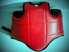 Rhingo Fighting Pads Mixed Martial Arts (set)