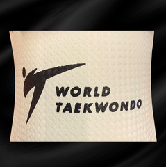 SHIN GUARD PROTECTORS – GOOD FOR ALL MARTIAL ARTS – WORLD TAEKWONDO APPROVED