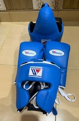 MMA Pro Wining Boxing Gloves Set Boxing Gloves ,Headgear, Groin Guard All Sizes