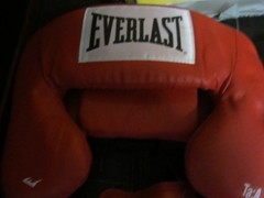 Everlast Advanced Everhide Head Gear Used