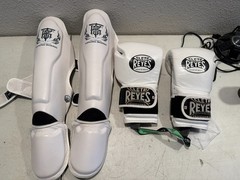 Cleto Reyes Professional Boxing Gloves & Top King Shin Guards White Muay Thai