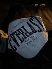 Everlast 1910 Groin Protector
