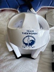 Best Dynamics Taekwondo Sparring Protector HEAD SHIN INSTEP FOREARM SIZE XS