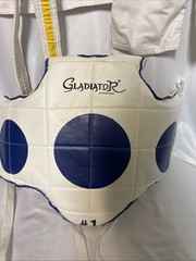 TAEKWONDO Bag & SPARRING GEAR LOT Chest Protector Shins Hands etc Head Sz M