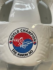 DXV Vision Tae Kwon Do karate open face headgear youth child white