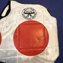 Rhingo Fighting Pads Mixed Martial Arts Small