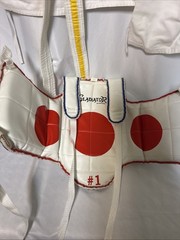 TAEKWONDO Bag & SPARRING GEAR LOT Chest Protector Shins Hands etc Head Sz M