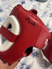 Elite Headgear For Boxing/MMA/Muay Thai/Taekwondo Training