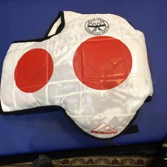 Rhingo Fighting Pads Mixed Martial Arts Small