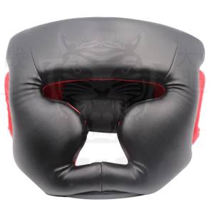 Head Guard