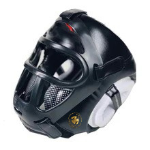 Head Guard